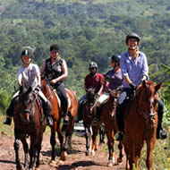 2hr mixed group horse ride